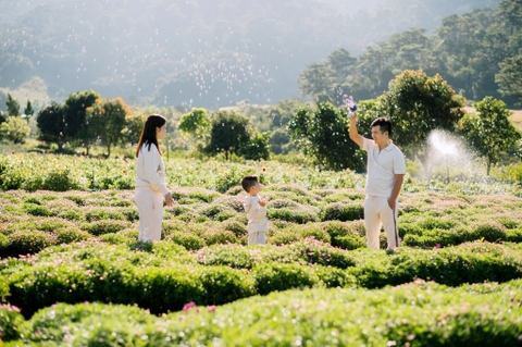 tháng 3 Đà Lạt