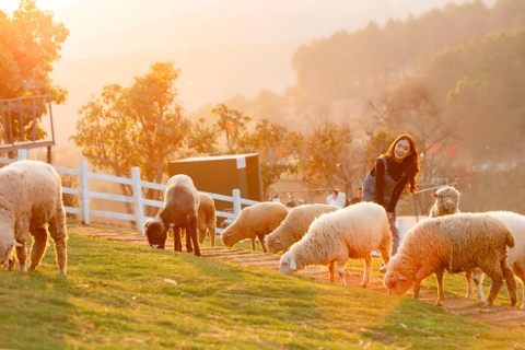 Chika Farm