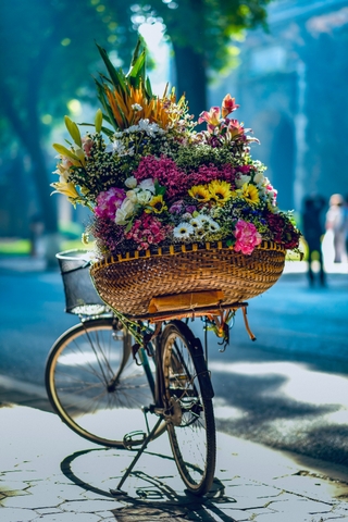 Thu hà nội