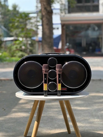 Loa sách tay SB M8 ( 2 bass 25 )