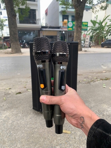 LOA DI ĐỘNG KIWI K6012 ( BASS 30 )