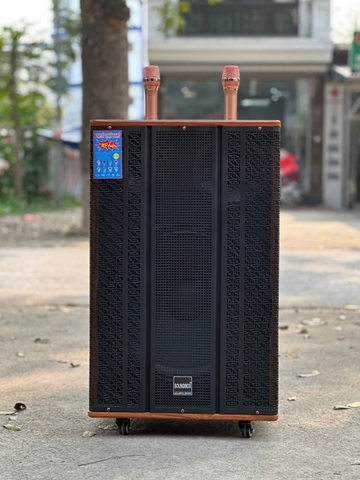 LOA DI ĐỘNG SB 8555 ( BASS 50 )