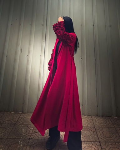 AK dài tay bèo dọc