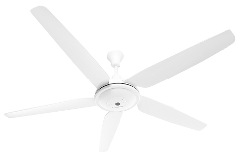 Quạt trần 5 cánh KANGAROO