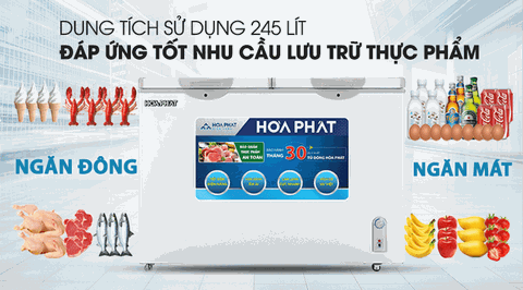 Tủ đông HOÀ PHÁT 2 cánh 2 ngăn (245L)