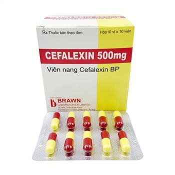 Thuốc kháng sinh Cefalexin 500mg Brawn hỗ trợ điều trị nhiễm khuẩn hô hấp (100 viên)