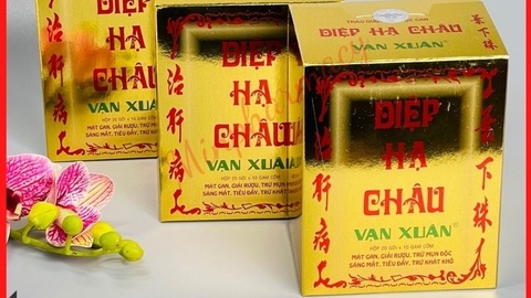 Trà Diệp hạ Châu Vạn Xuân