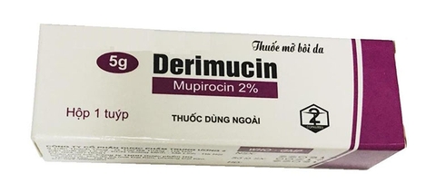 Derimucin 0.1g (tuýp 5g)