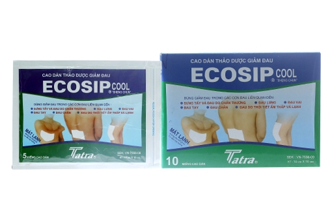 Cao dán Ecosip Cool giảm đau cơ xương khớp gói 10 miếng