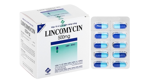 Lincomycin Vidipha 500mg trị nhiễm khuẩn nặng (10 vỉ x 10 viên)