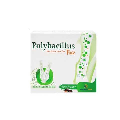 POLYBACILLUS PURE – TRỊ RỐI LOẠN TIÊU HÓA