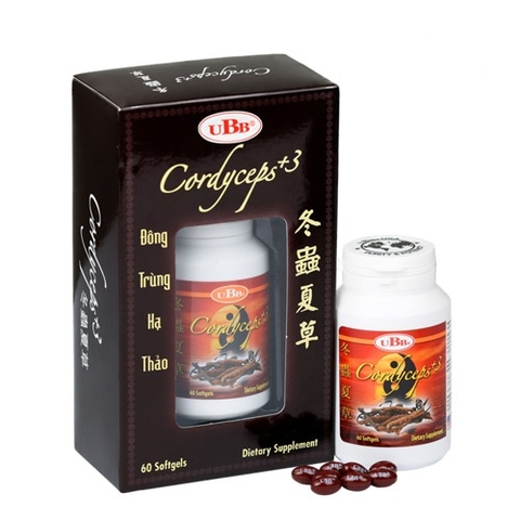 ĐÔNG TRÙNG HẠ THẢO UBB CORDYCEPS+3