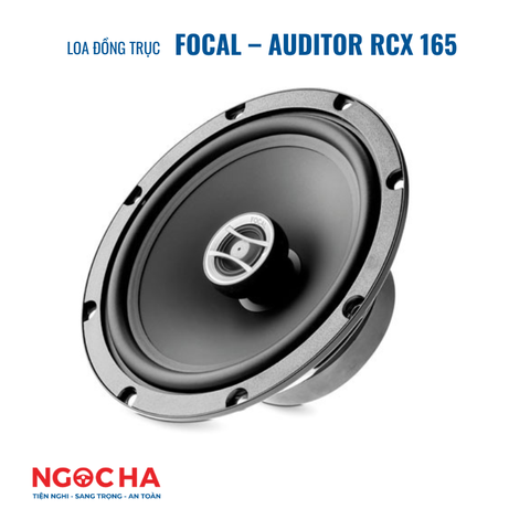 FOCAL – AUDITOR RCX 165