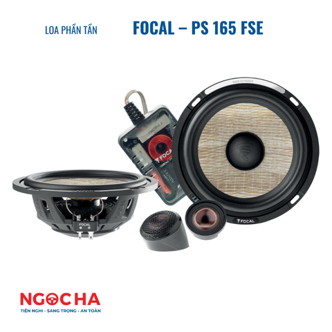 FOCAL – PS 165 FSE