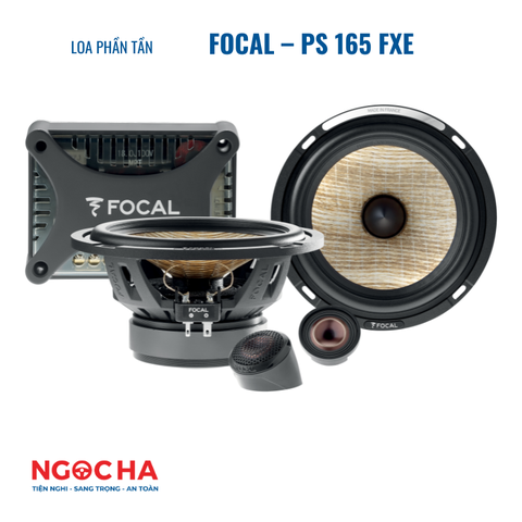 FOCAL - PS 165 FXE