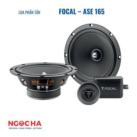 FOCAL – ASE 165
