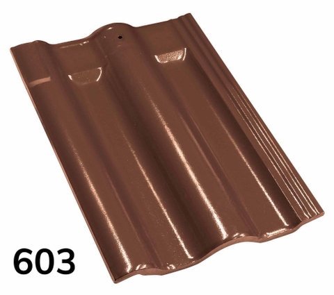 Ngói màu Tokyo Japan 603