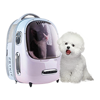 Phụ kiện chó mèo