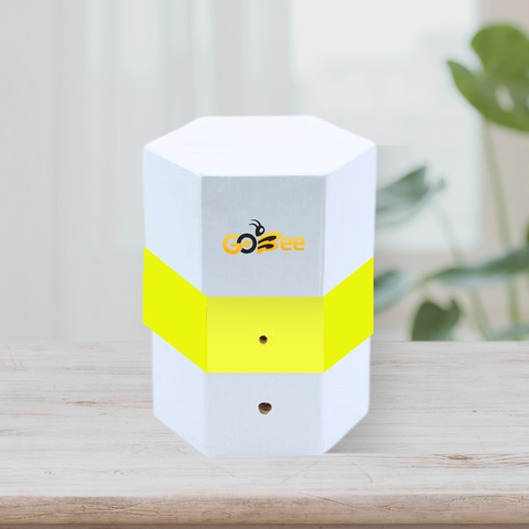 Thung nuôi ong dú 3 tầng hiện đại