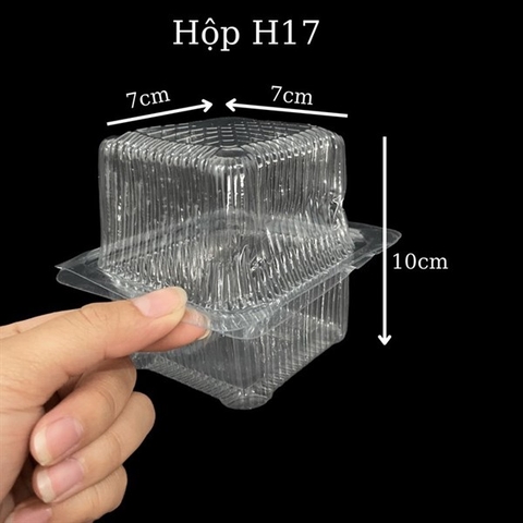 Hộp H17 (100 cái)