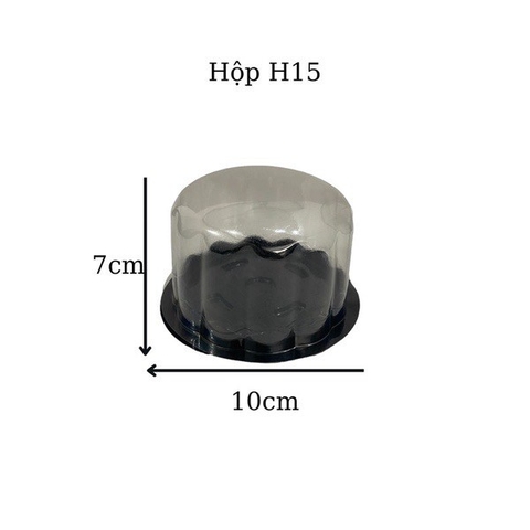 Hộp H15 (100 cái)