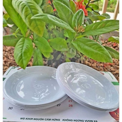 Đĩa Nhựa Size 14cm (1000 cái)