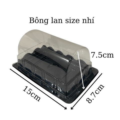 Hộp Vòm Nhí (100 cái)