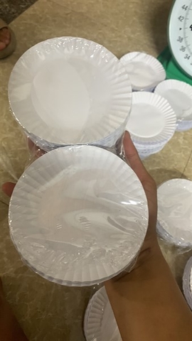 Đĩa Giấy (bịch 500G)