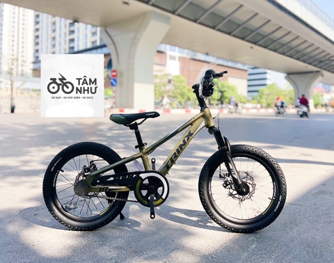 Xe đạp Trẻ Em Trinx GT 18 INCH - Xanh Rêu