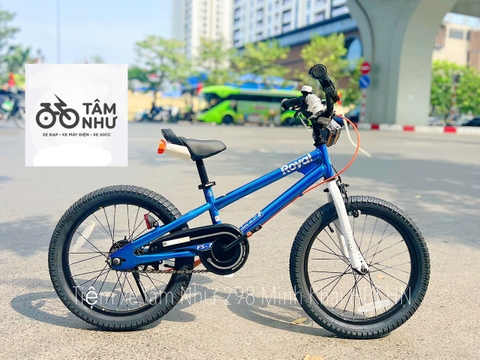 XE ĐẠP TRẺ EM ROYALBABY FREESTYLE - Xanh  20 INCH