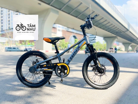 Xe đạp Trẻ Em Trinx GT 18 INCH - Ghi Cam