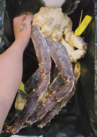 CHÂN CUA HOÀNG ĐẾ - NAUY