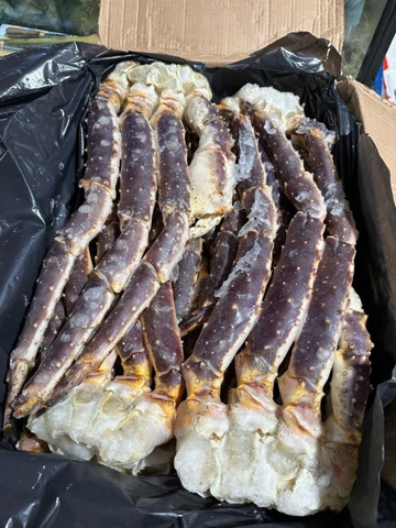 CHÂN CUA HOÀNG ĐẾ - NAUY