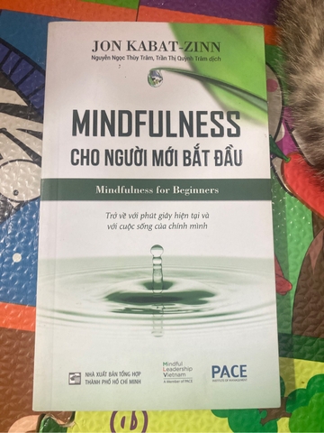 Mindfulness Cho Người Mới Bắt Đầu