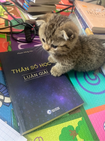 Thần số học luận giải