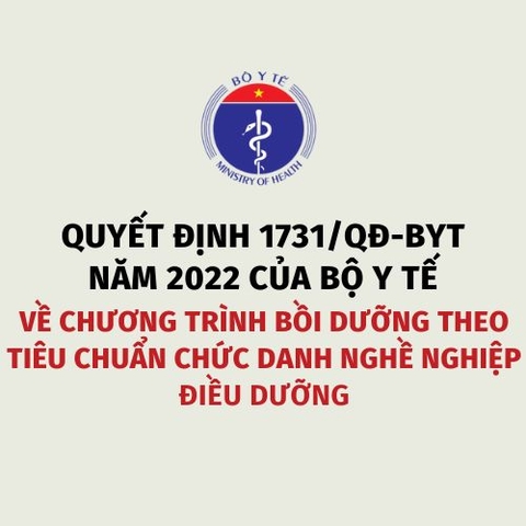 Quyết định 1731/QĐ-BYT năm 2022 của Bộ Y tế về Chương trình bồi dưỡng theo tiêu chuẩn chức danh nghề nghiệp điều dưỡng