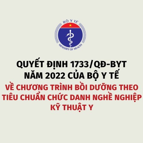 Quyết định 1733/QĐ-BYT năm 2022 của Bộ Y tế về Chương trình bồi dưỡng theo tiêu chuẩn chức danh nghề nghiệp kỹ thuật y