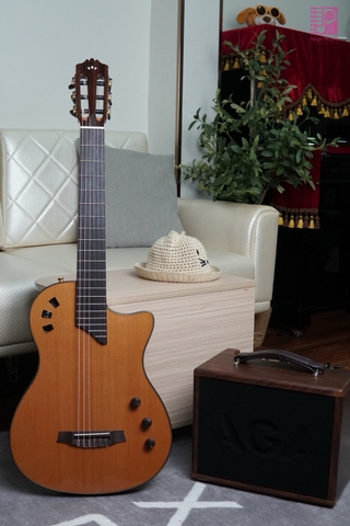 Guitar Cordoba Stage Traditional CD Thinbody