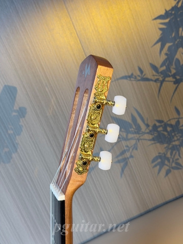 Guitar Murcia T1-CE
