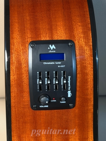 Guitar Murcia T1-CE
