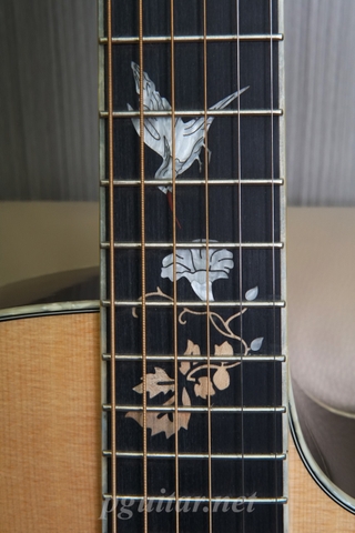 Guitar Acoustic Murcia AS-50CE