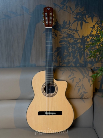 Guitar Murcia T1-CE