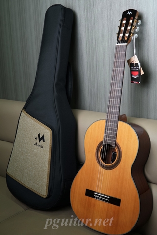 Guitar Classic Murcia T5