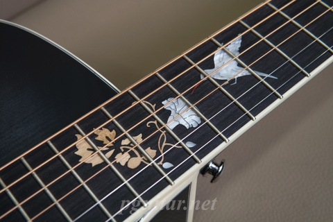 Đàn guitar Acoustic Murcia AS-30CE
