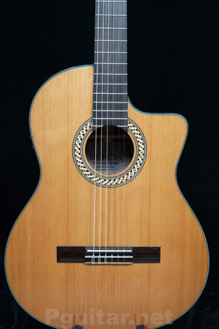 Đàn guitar semi classic Murcia Fusion Rose