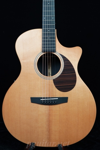 Guitar Enya EGA X1 PRO MAX EQ SP1