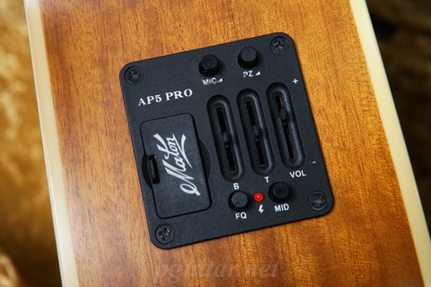 Maton EBG808 TE – Cây đàn biểu tượng của Tommy Emmanuel