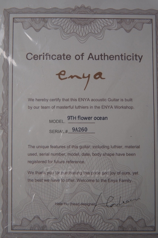 Guitar Enya Flowers Ocean Limited EQ LR Baggs Anthem Tru-mic