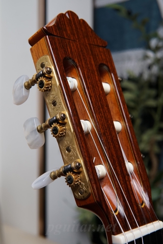 Guitar Toshihiko Nakade Master 50 (2006)