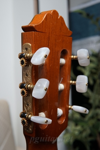 Guitar Toshihiko Nakade Master 50 (2006)